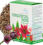 Cinquefoil Herb Tea