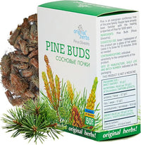 Pine Buds