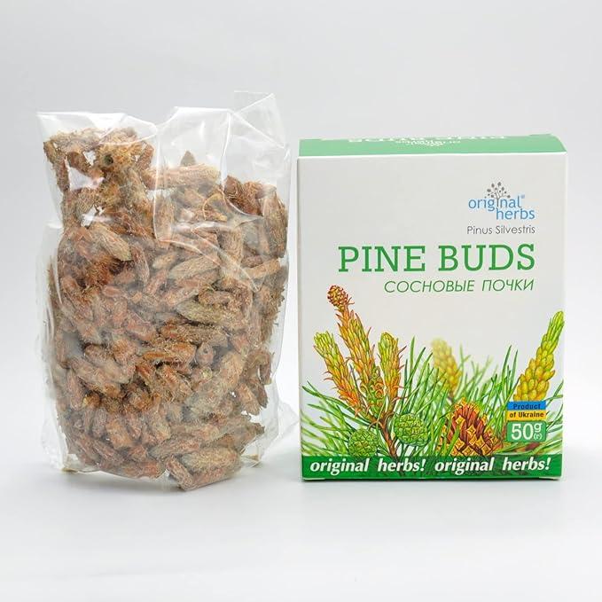 Pine Buds
