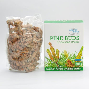 Pine Buds